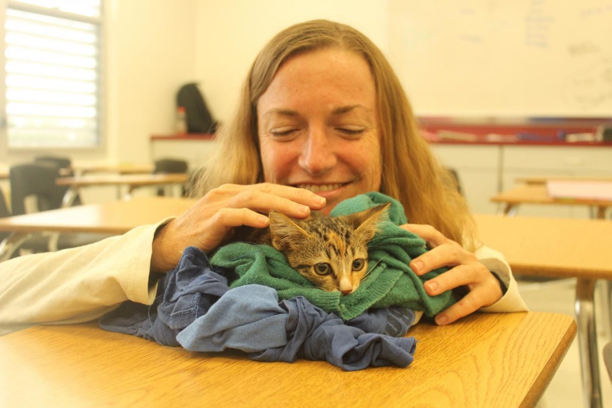 English teacher Natalie Savage cares for June, a kitten found on campus in a pile of debris. Named after the juniors who found her, June will be taken to the Humane Society this afternoon.