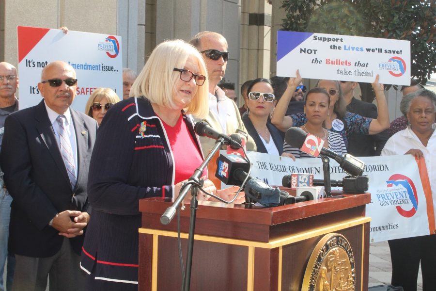 Florida State Senator Linda Stewart speaks at a press conference in January 2017 following the original introduction of her bill. The bill never made it to the floor.