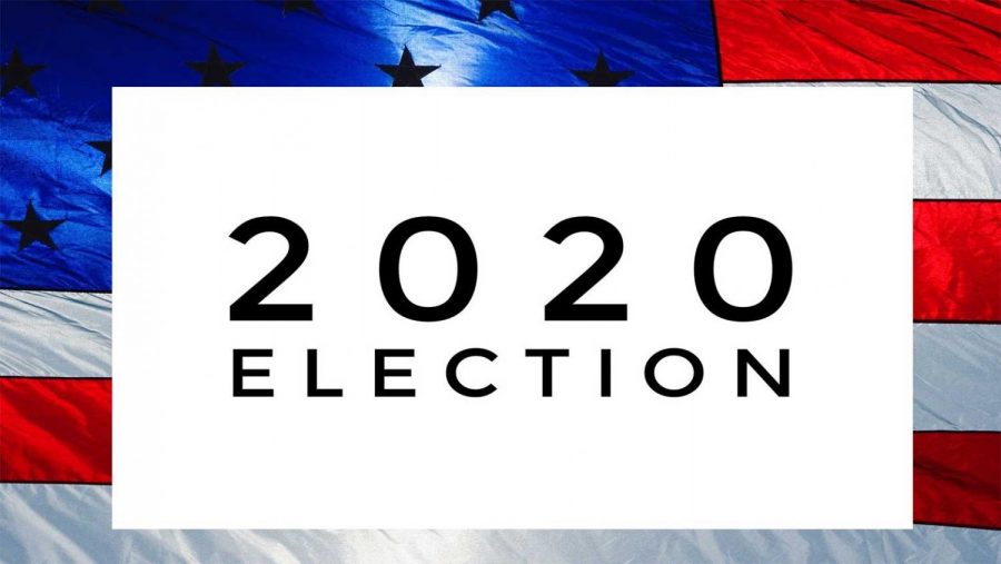 Whos+who+in+the+2020+presidential+election