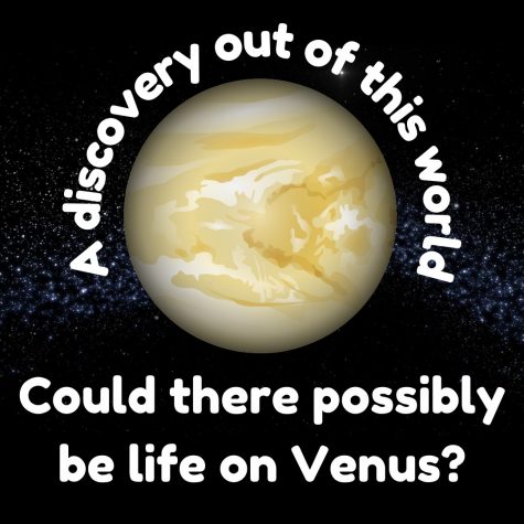 A discovery out of this world: there might be life on Venus