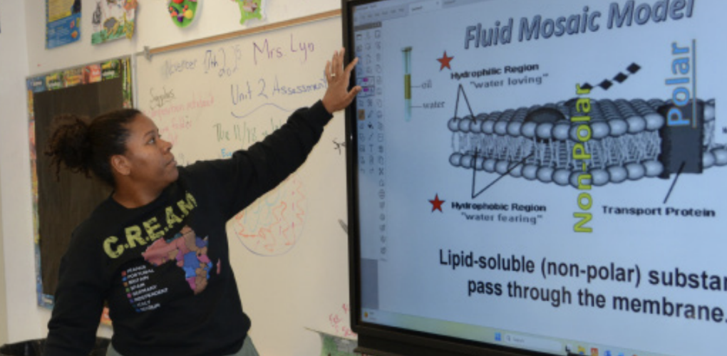 EXCELLENCE: Teacher Zola Lyn teaching her classwork to students. 